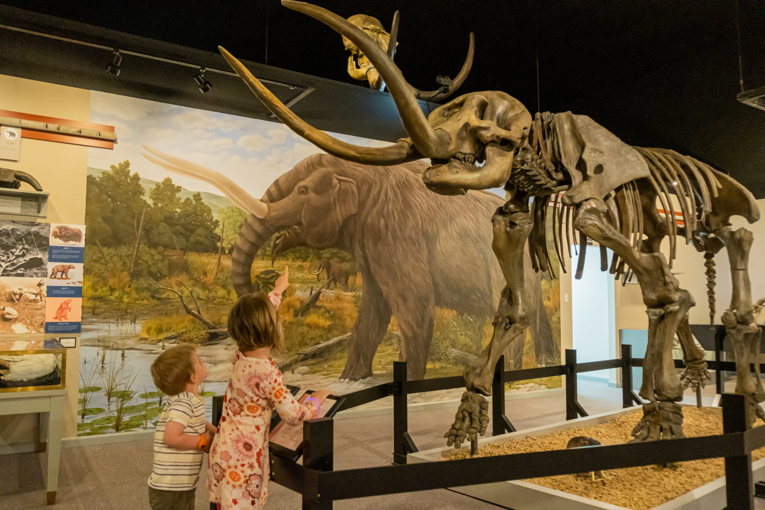 Museum of the Middle Appalachians